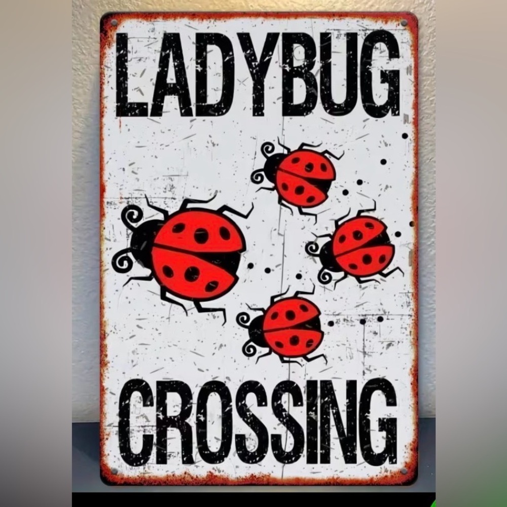 New Metal Sign (8x12”)